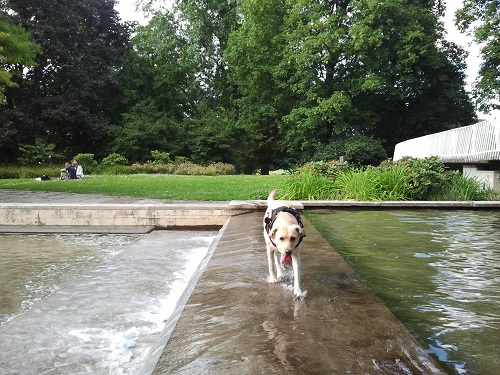 Stella an einen Brunnen des kölner Rheinparks