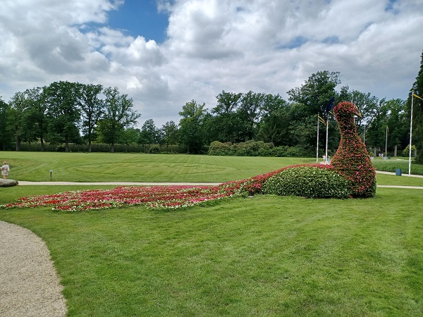 Pfau aus Blumen und Pflanzen