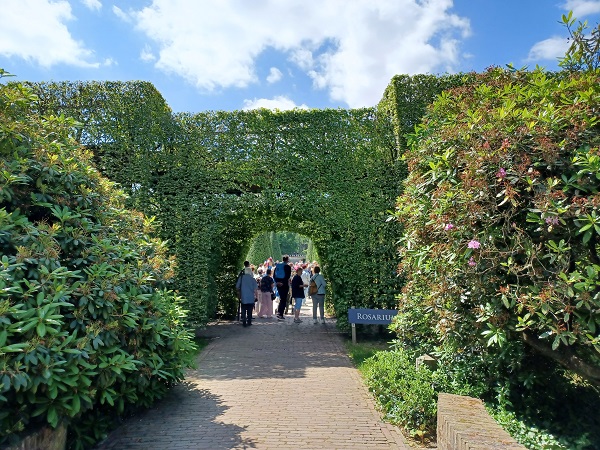 Rosengarten 1